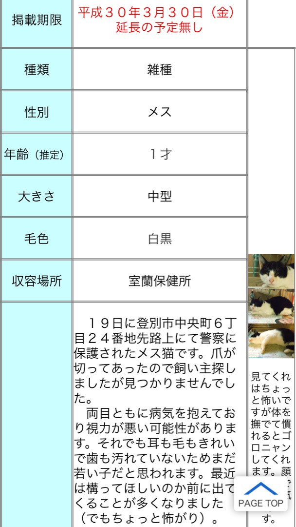 ブログ むしゃなび 杏 占いの部屋 猫色ボランティア