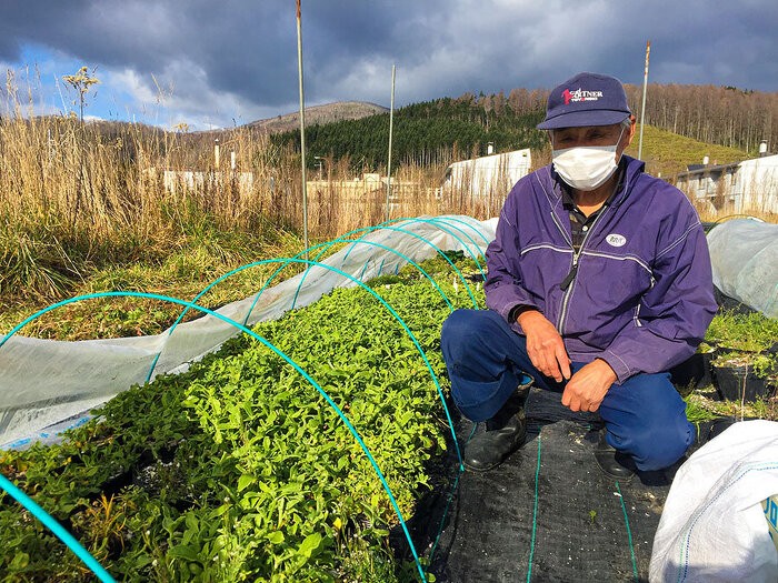ワインビジネス : ブドウ畑から食卓までつなぐグローバル戦略 ワインビジネス : ブドウ畑から食卓までつなぐグローバル戦略