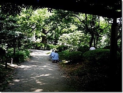 木陰で写生をする高齢者