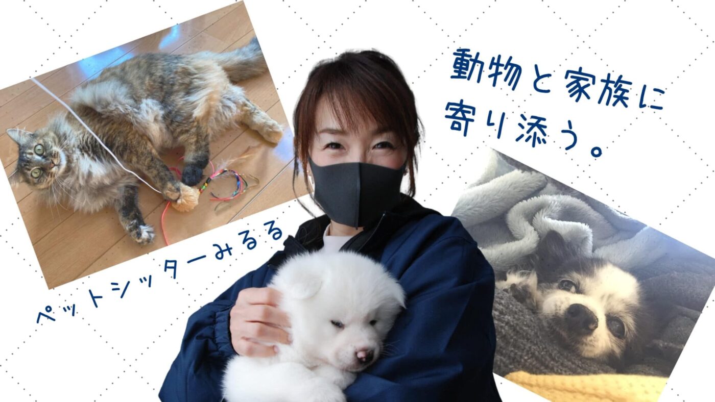 動物と家族に寄り添う。ペットシッターみるる【登別】 - 伊達市・室蘭 