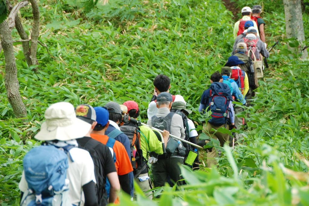 伊達紋別岳を愛する人々。夏の登山道整備
