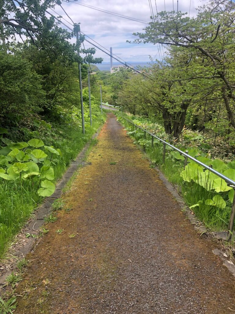 崎守神社